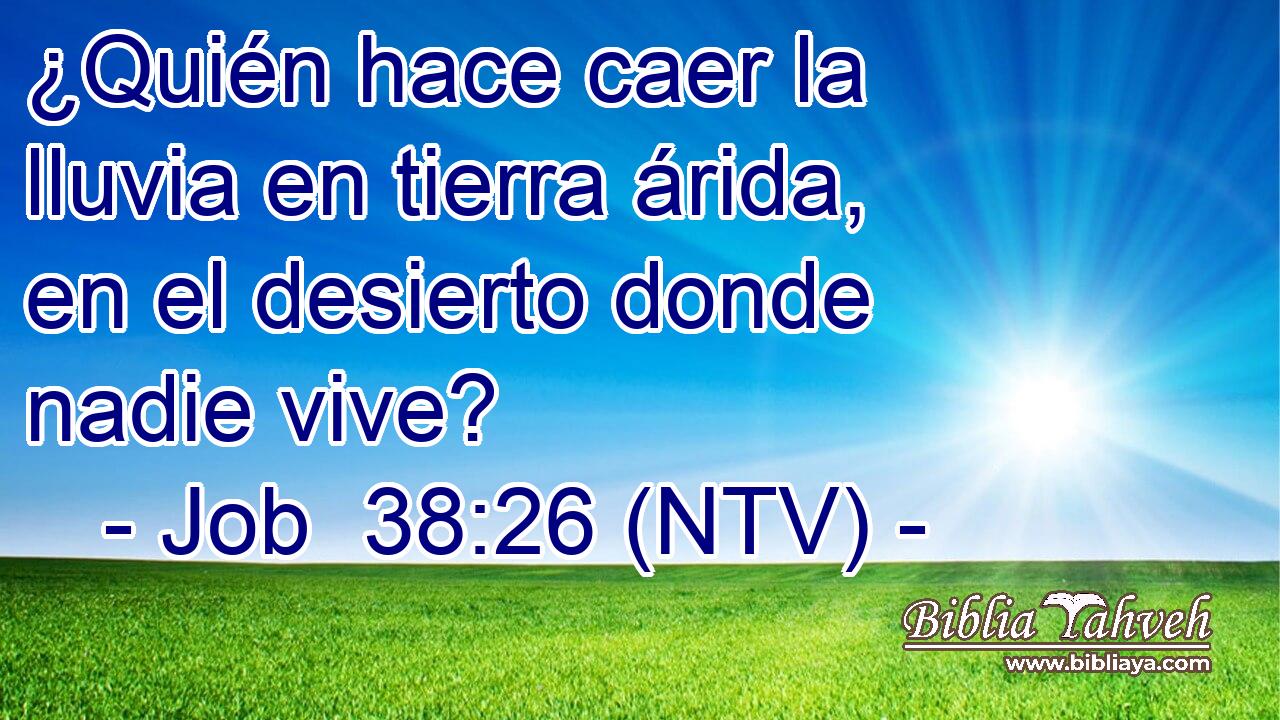 ¿Quién hace caer la lluvia en tierra árida, en el desierto donde nadie vive?