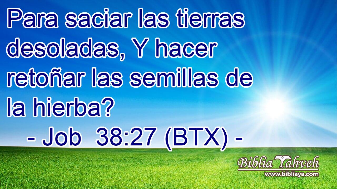 Para saciar las tierras desoladas, Y hacer retoñar las semillas de la hierba?
