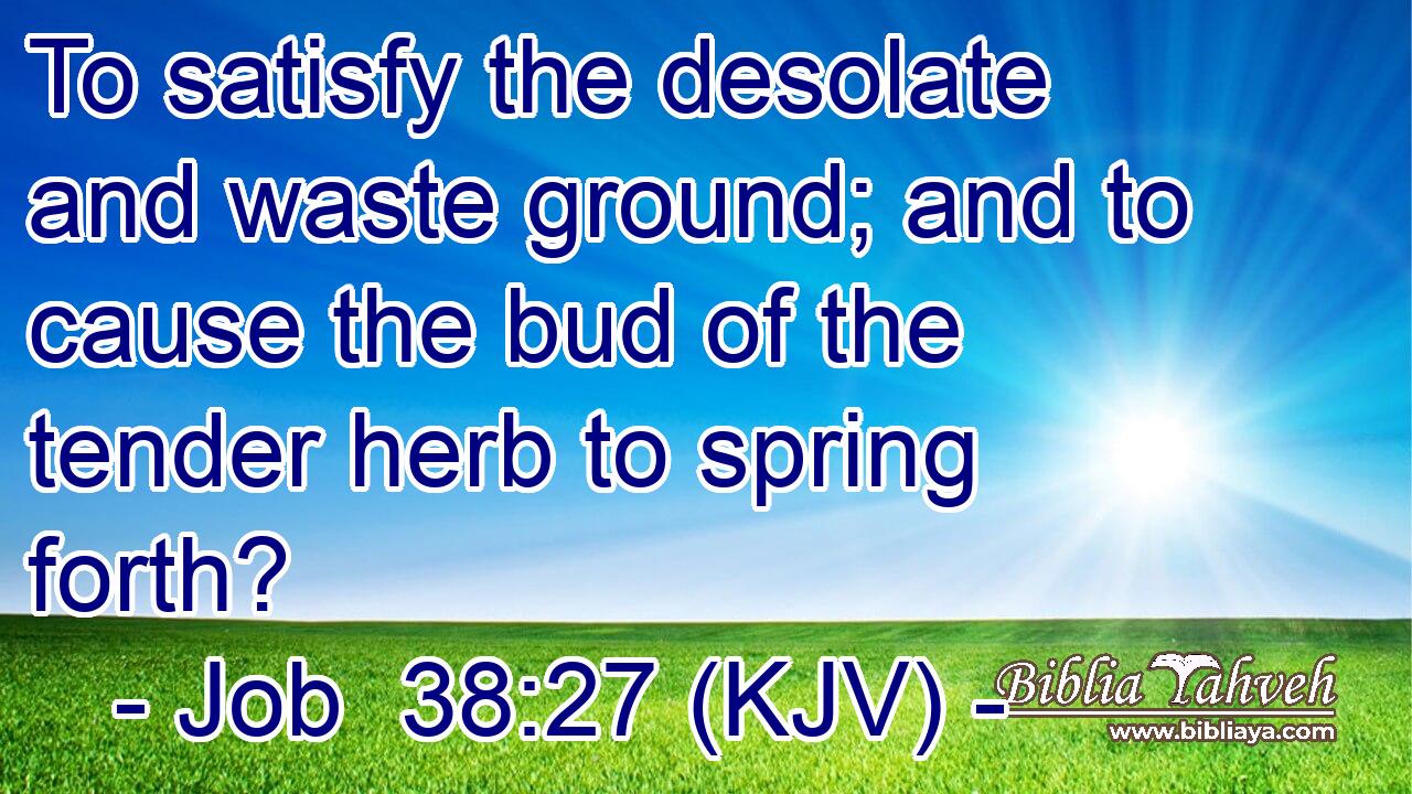 To satisfy the desolate and waste ground; and to cause the bud of the tender herb to spring forth?