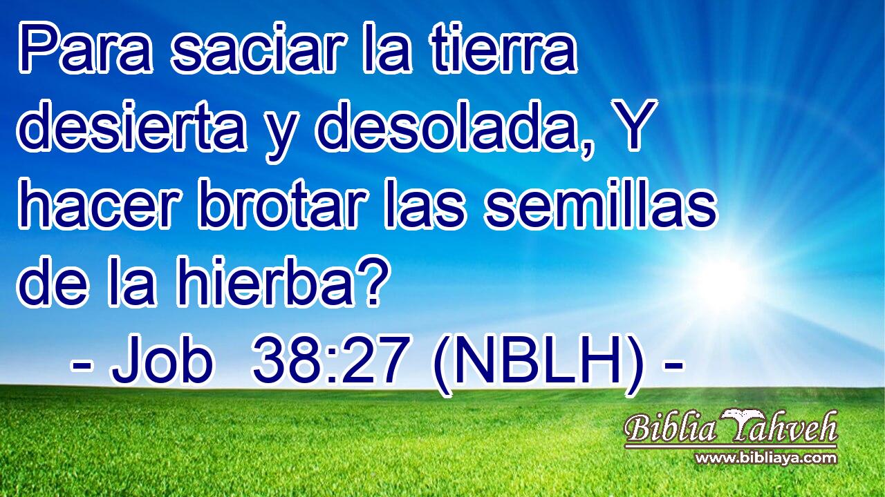  Para saciar la tierra desierta y desolada, Y hacer brotar las semillas de la hierba? 