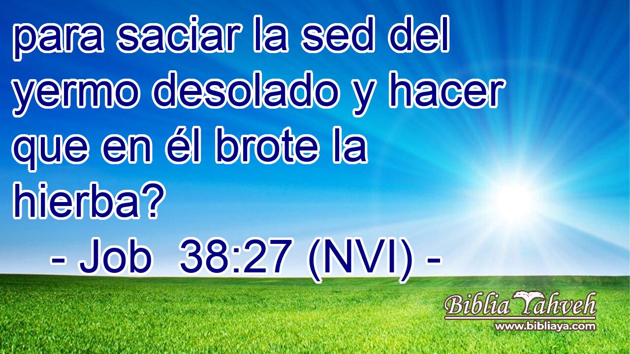  para saciar la sed del yermo desolado y hacer que en él brote la hierba? 