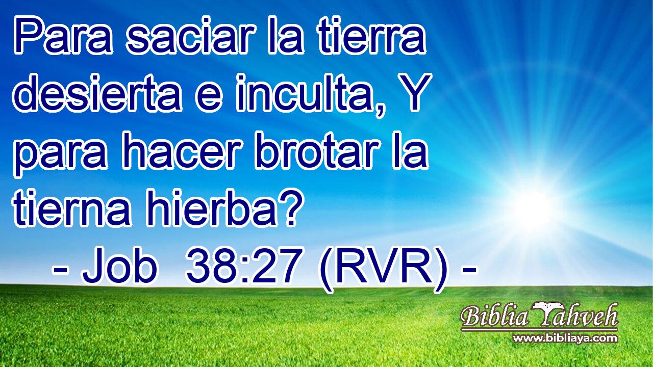 Para saciar la tierra desierta e inculta, Y para hacer brotar la tierna hierba?