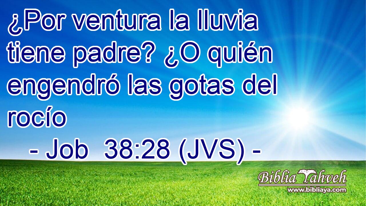 ¿Por ventura la lluvia tiene padre? ¿O quién engendró las gotas del rocío