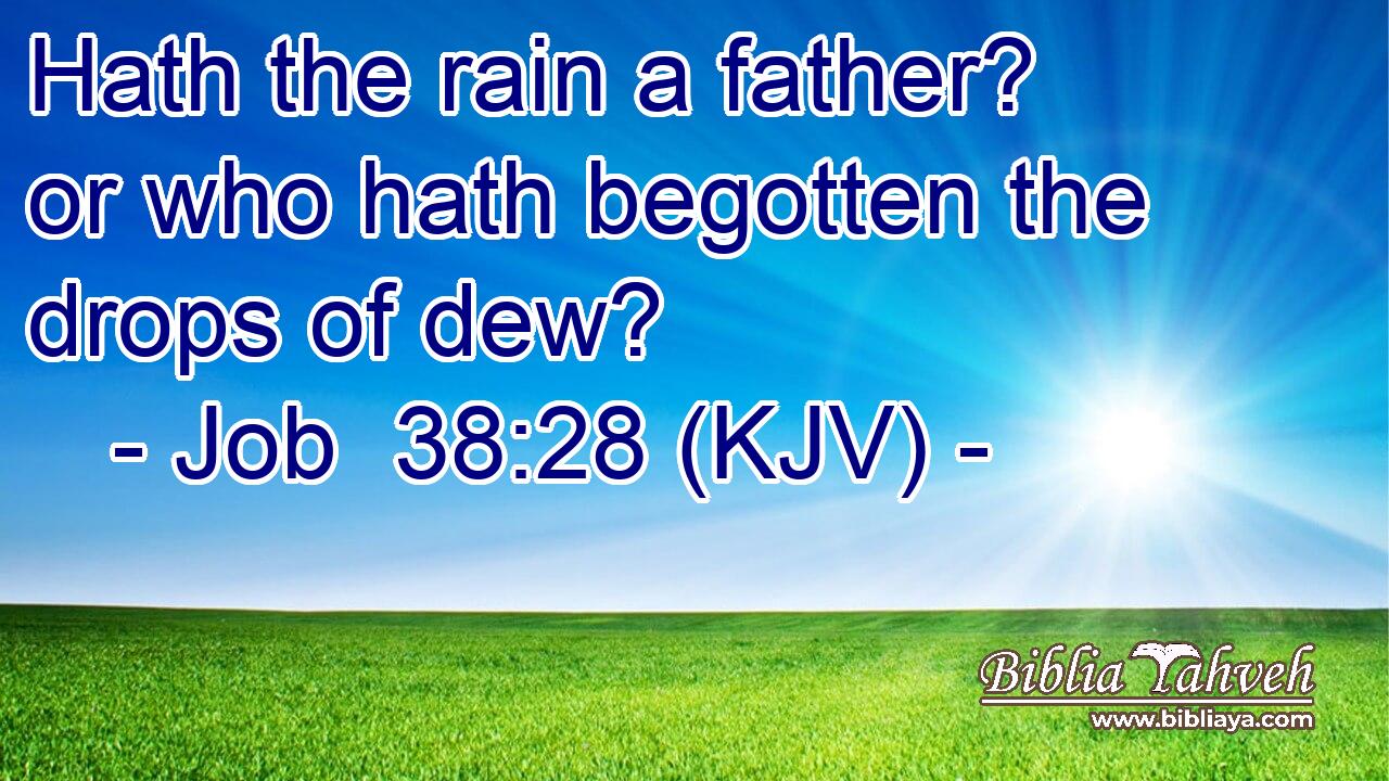 Hath the rain a father? or who hath begotten the drops of dew?