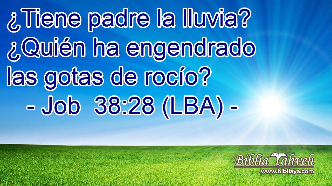 ¿Tiene padre la lluvia? ¿Quién ha engendrado las gotas de rocío?