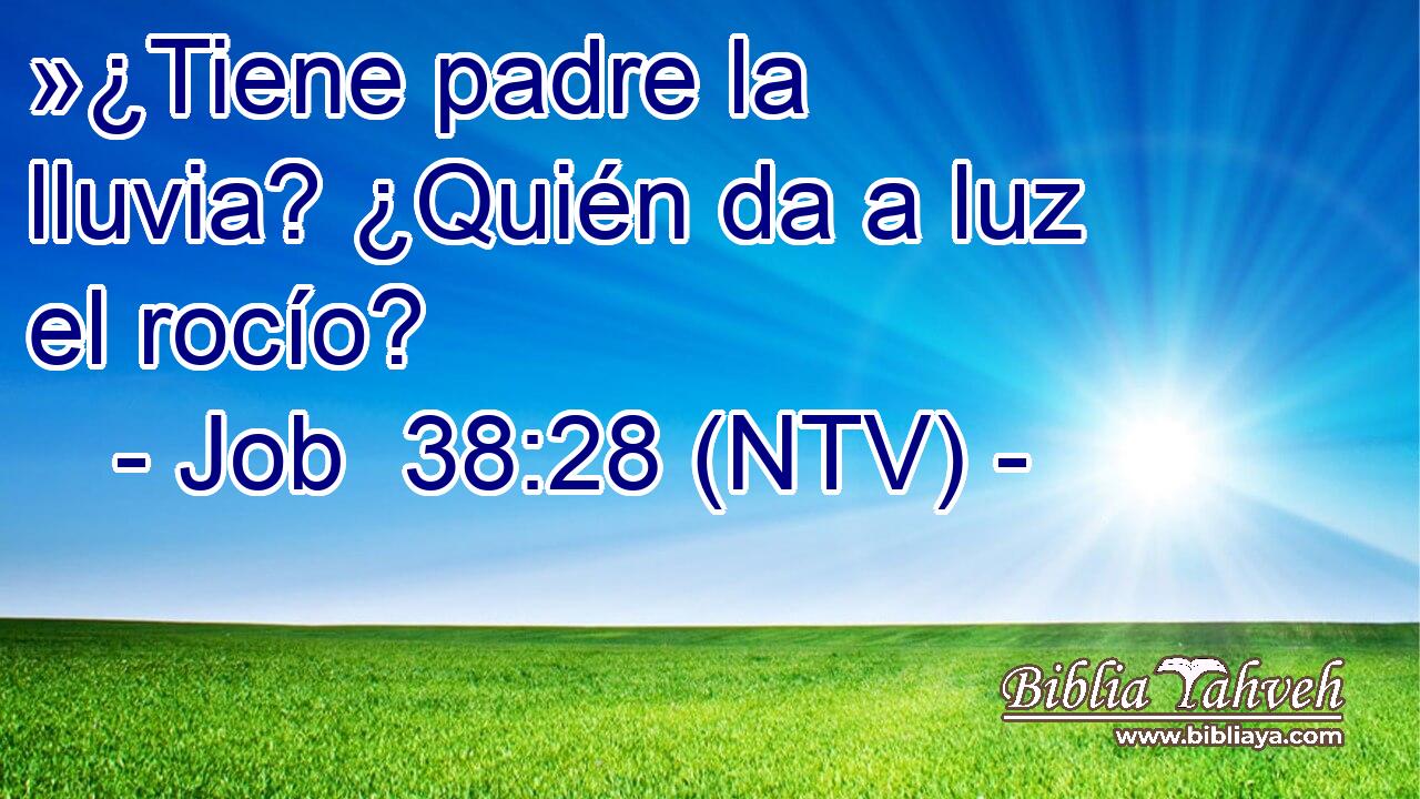 »¿Tiene padre la lluvia? ¿Quién da a luz el rocío?