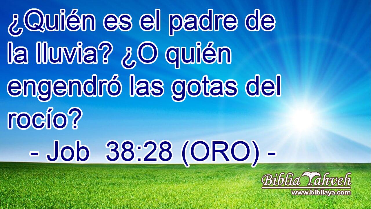  ¿Quién es el padre de la lluvia? ¿O quién engendró las gotas del rocío? 