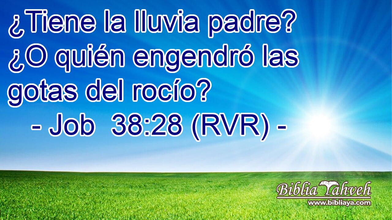 ¿Tiene la lluvia padre? ¿O quién engendró las gotas del rocío?
