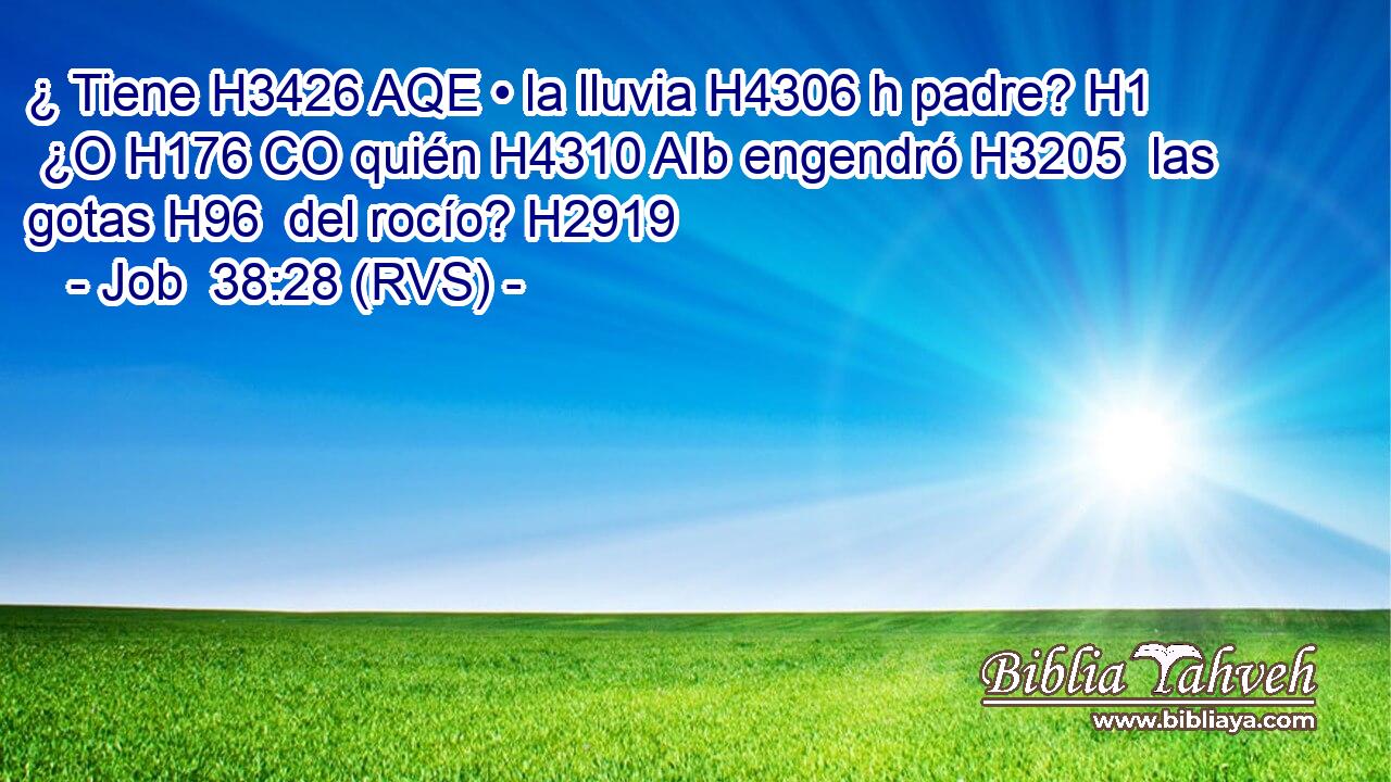 ¿ Tiene H3426 AQE • la lluvia H4306 h padre? H1  ¿O H176 CO quién H4310 AIb engendró H3205  las gotas H96  del rocío? H2919  