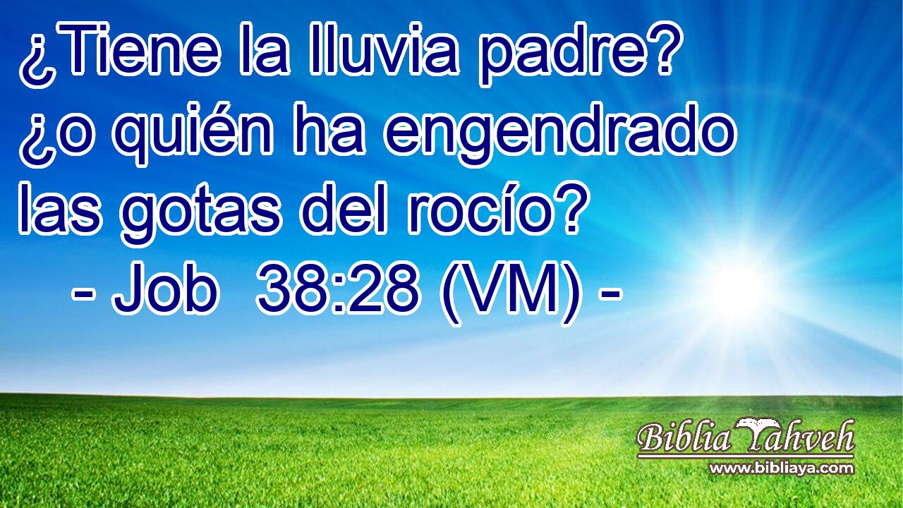  ¿Tiene la lluvia padre? ¿o quién ha engendrado las gotas del rocío? 