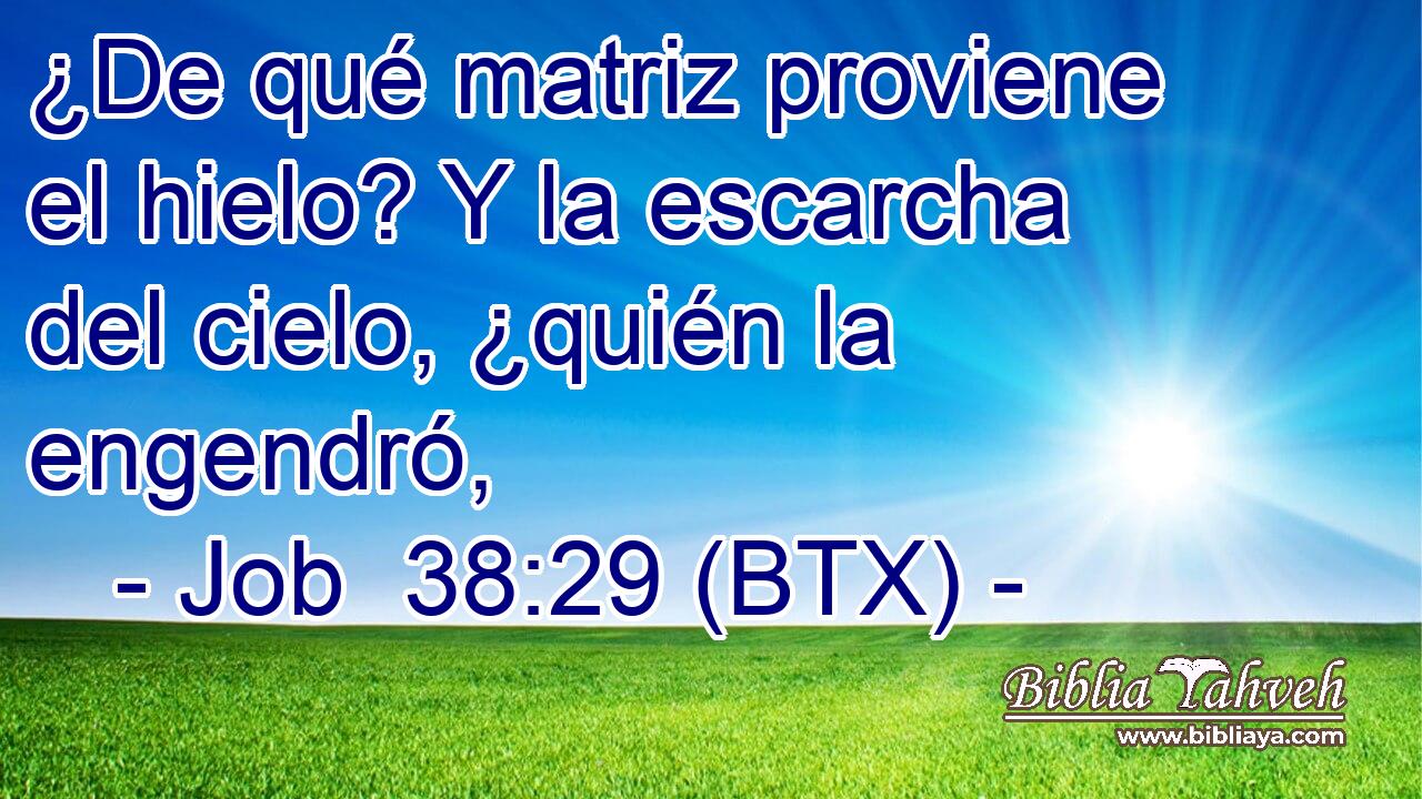 ¿De qué matriz proviene el hielo? Y la escarcha del cielo, ¿quién la engendró,