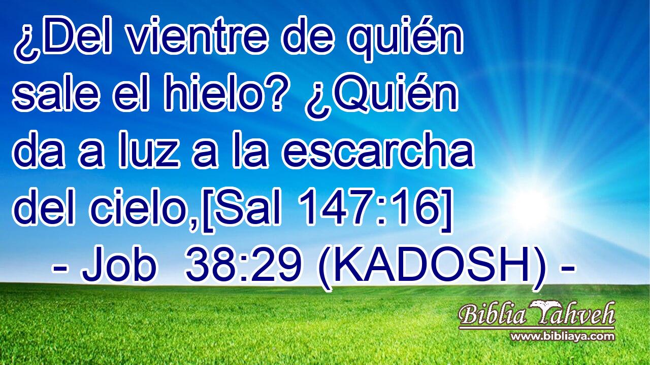  ¿Del vientre de quién sale el hielo? ¿Quién da a luz a la escarcha del cielo,[Sal 147:16] 