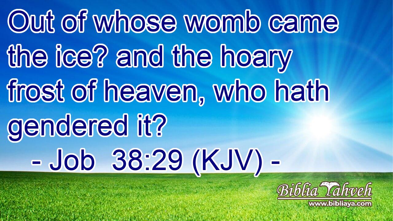 Out of whose womb came the ice? and the hoary frost of heaven, who hath gendered it?