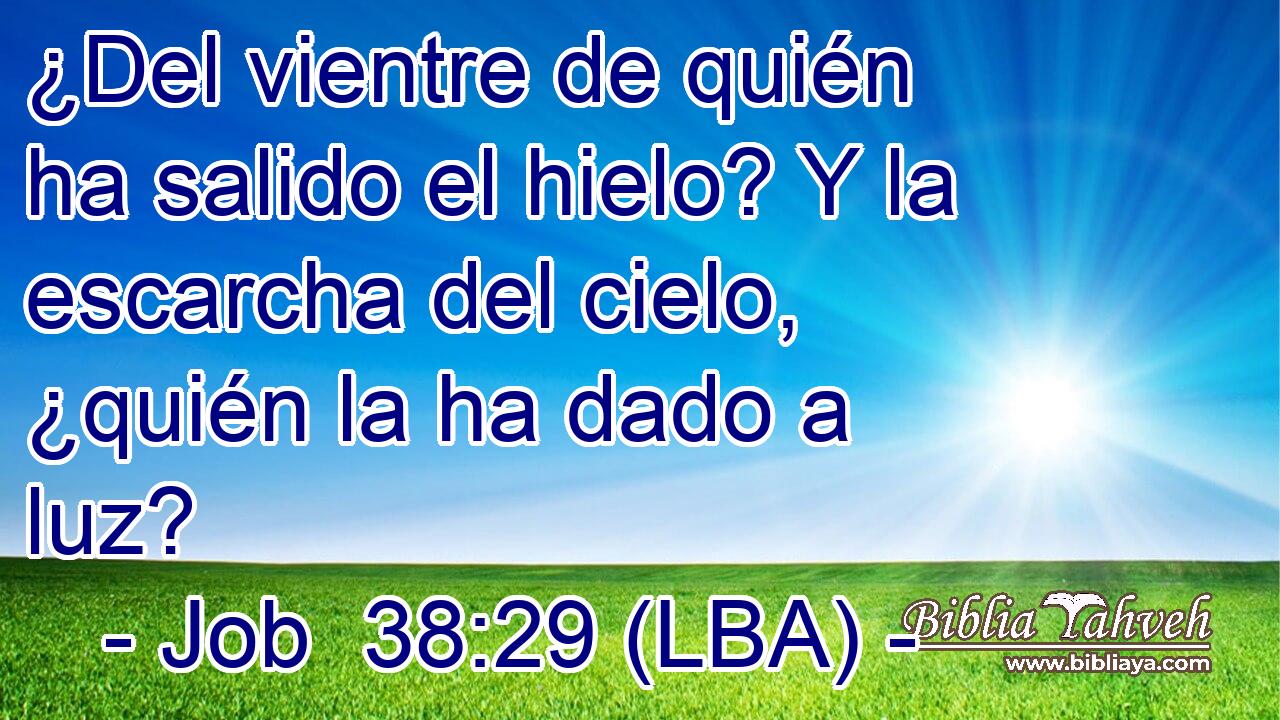 ¿Del vientre de quién ha salido el hielo? Y la escarcha del cielo, ¿quién la ha dado a luz?
