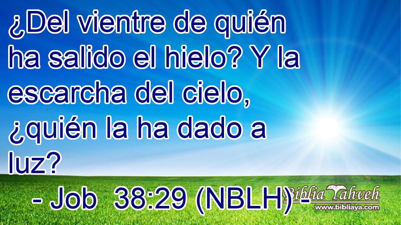  ¿Del vientre de quién ha salido el hielo? Y la escarcha del cielo, ¿quién la ha dado a luz? 