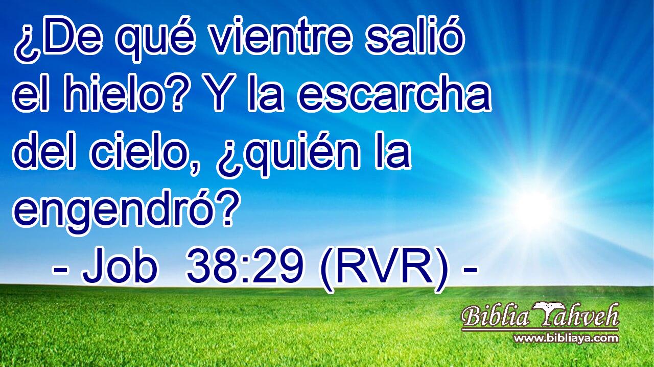 ¿De qué vientre salió el hielo? Y la escarcha del cielo, ¿quién la engendró?