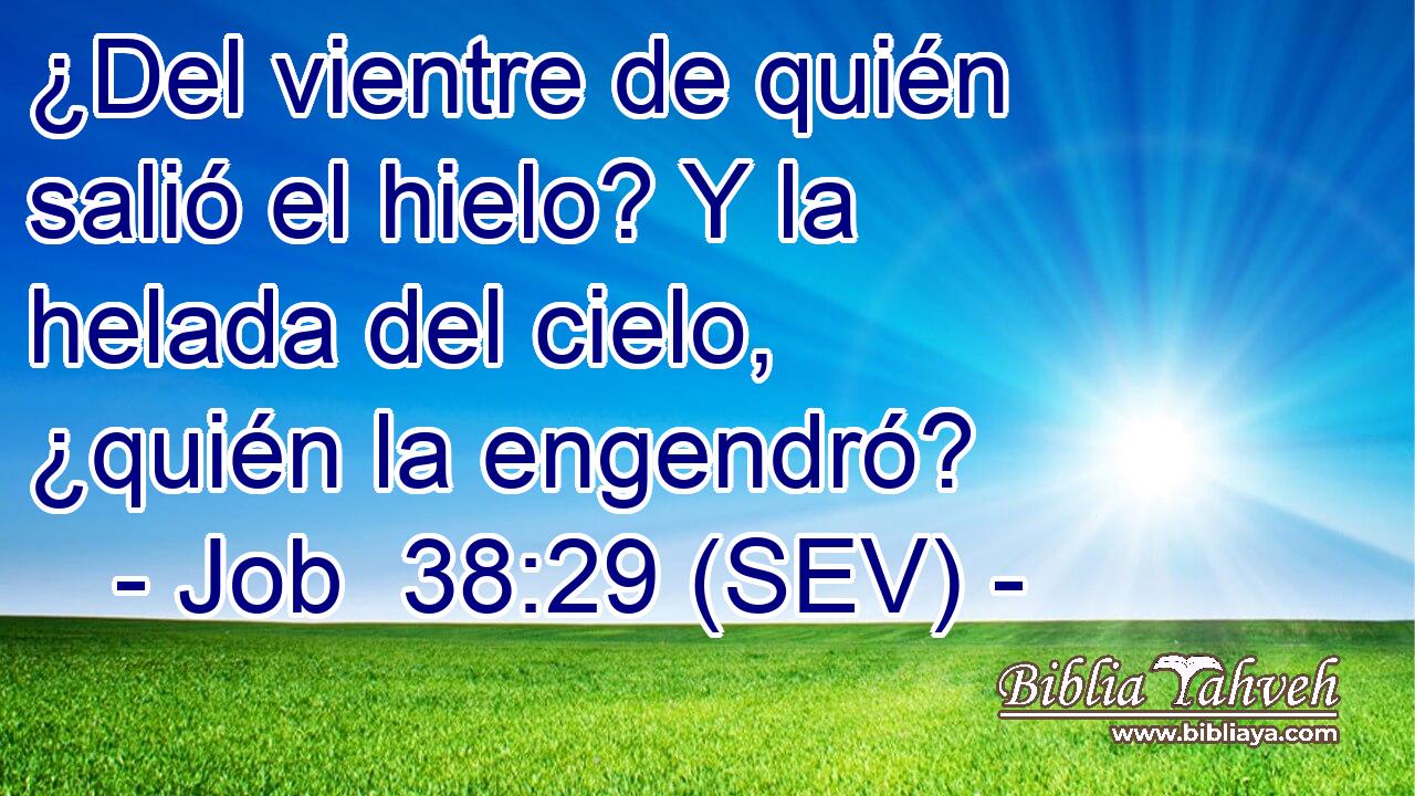 ¿Del vientre de quién salió el hielo? Y la helada del cielo, ¿quién la engendró?