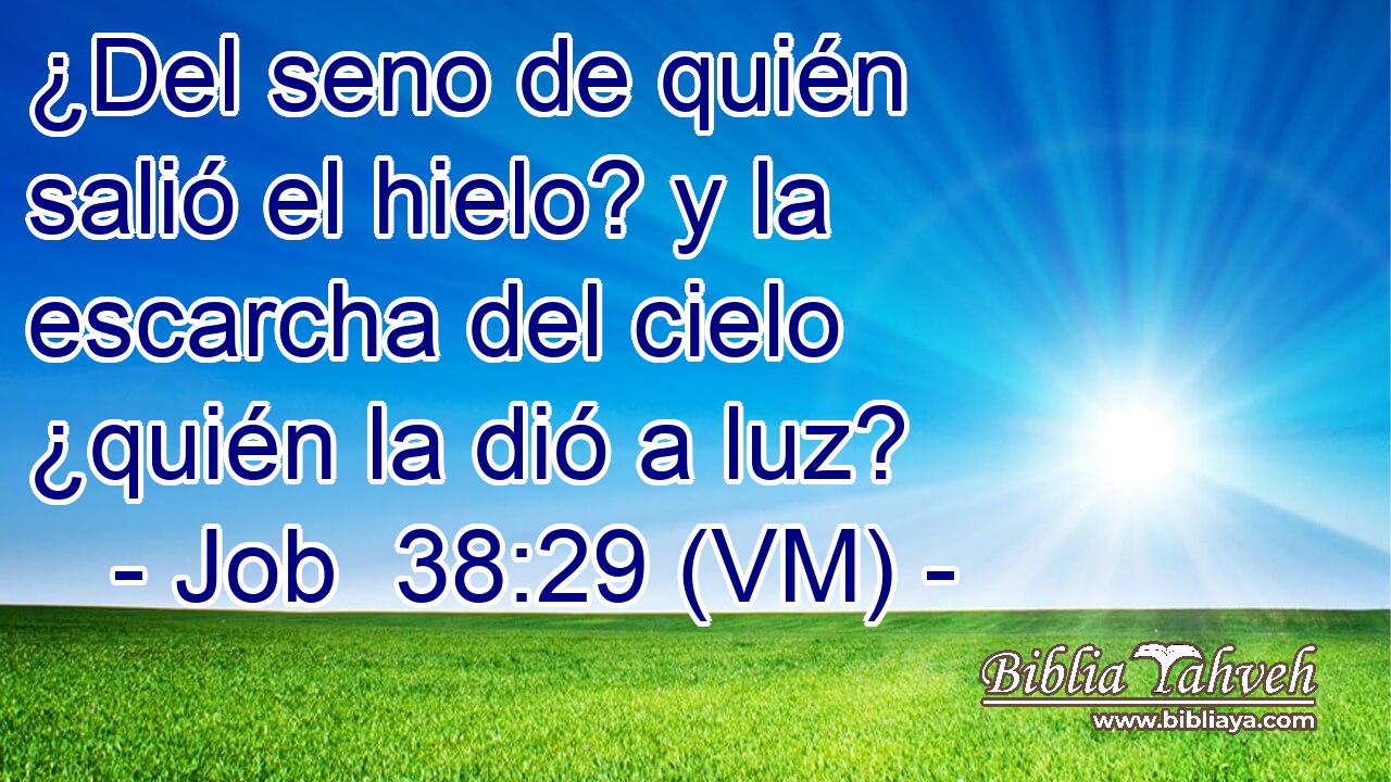  ¿Del seno de quién salió el hielo? y la escarcha del cielo ¿quién la dió a luz? 
