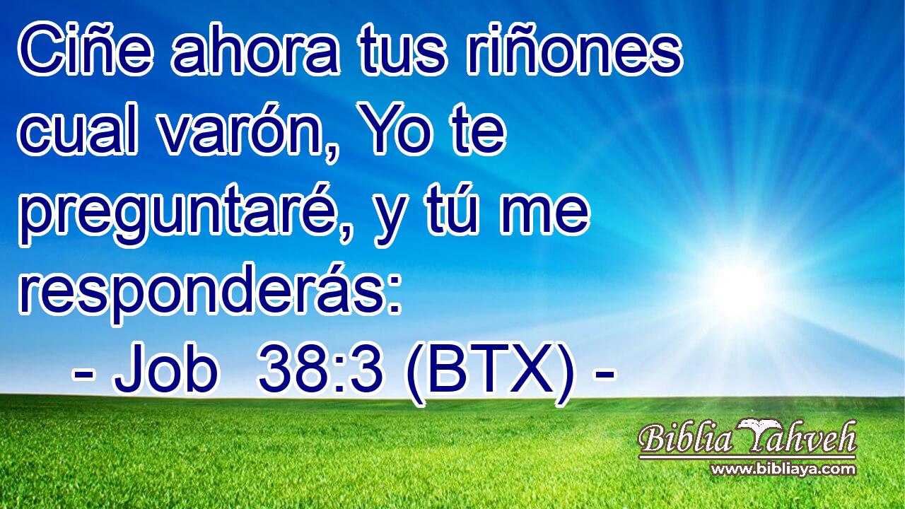 Ciñe ahora tus riñones cual varón, Yo te preguntaré, y tú me responderás:
