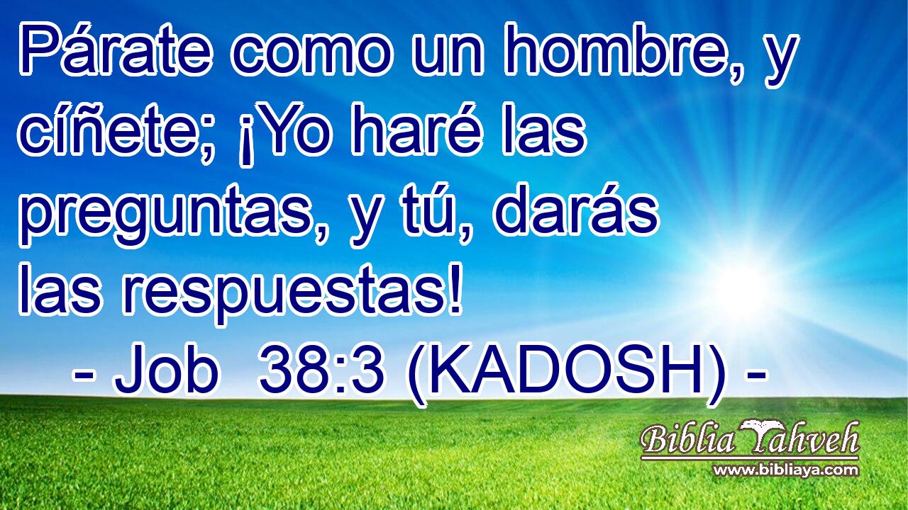  Párate como un hombre, y cíñete; ¡Yo haré las preguntas, y tú, darás las respuestas! 