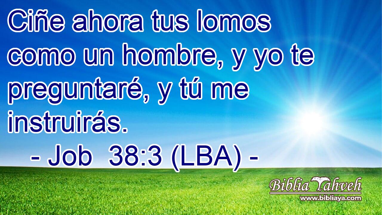 Ciñe ahora tus lomos como un hombre, y yo te preguntaré, y tú me instruirás.