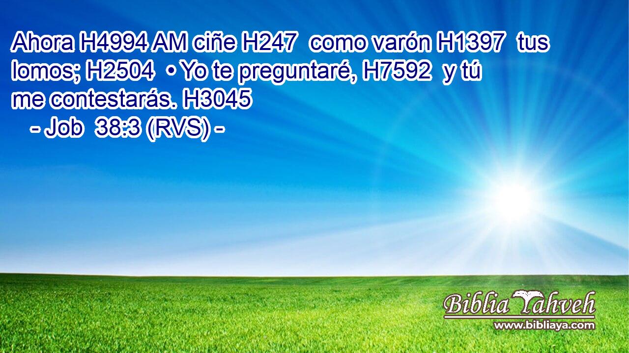 Ahora H4994 AM ciñe H247  como varón H1397  tus lomos; H2504  • Yo te preguntaré, H7592  y tú me contestarás. H3045  