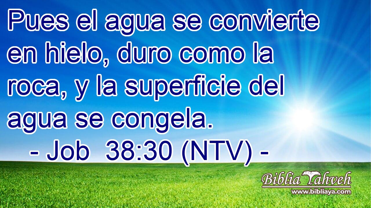 Pues el agua se convierte en hielo, duro como la roca, y la superficie del agua se congela.