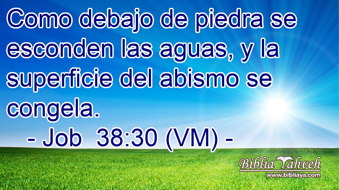  Como debajo de piedra se esconden las aguas, y la superficie del abismo se congela. 