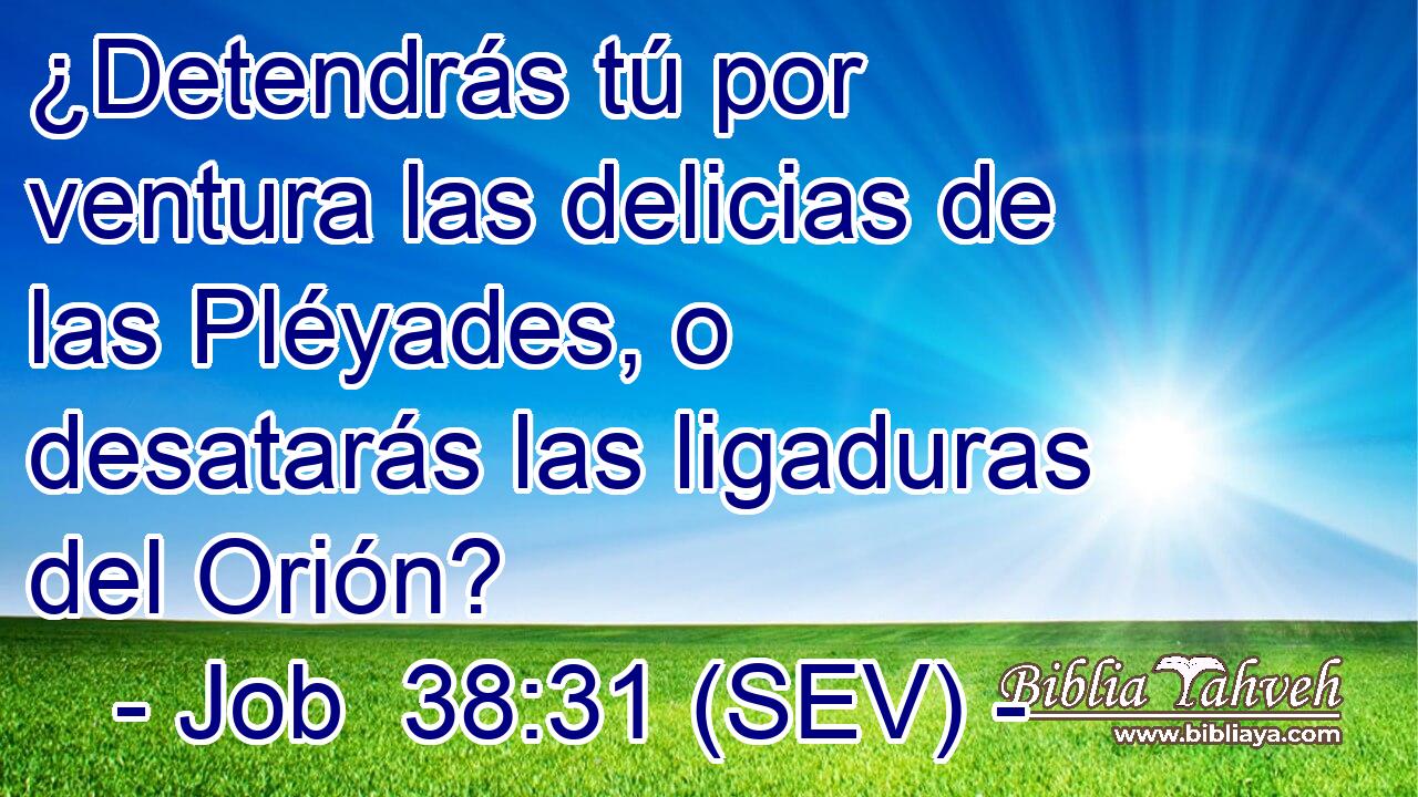 ¿Detendrás tú por ventura las delicias de las Pléyades, o desatarás las ligaduras del Orión?