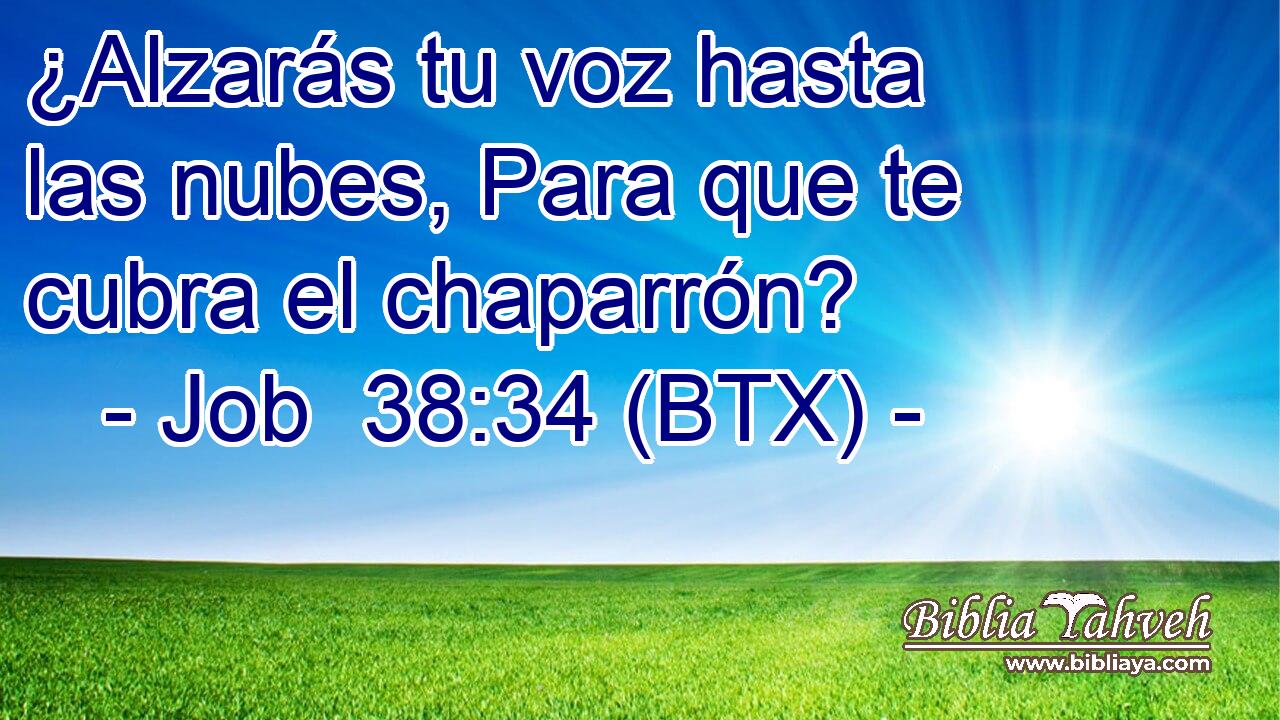¿Alzarás tu voz hasta las nubes, Para que te cubra el chaparrón?