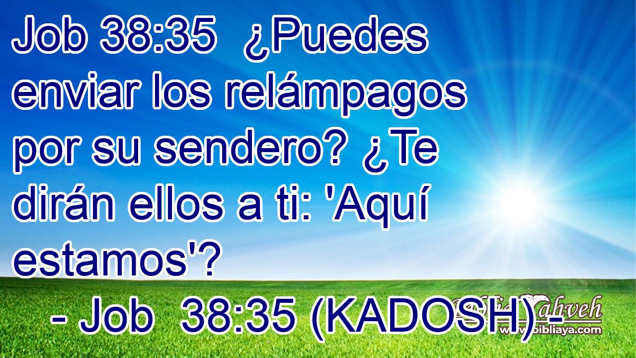  ¿Puedes enviar los relámpagos por su sendero? ¿Te dirán ellos a ti: 'Aquí estamos'? 