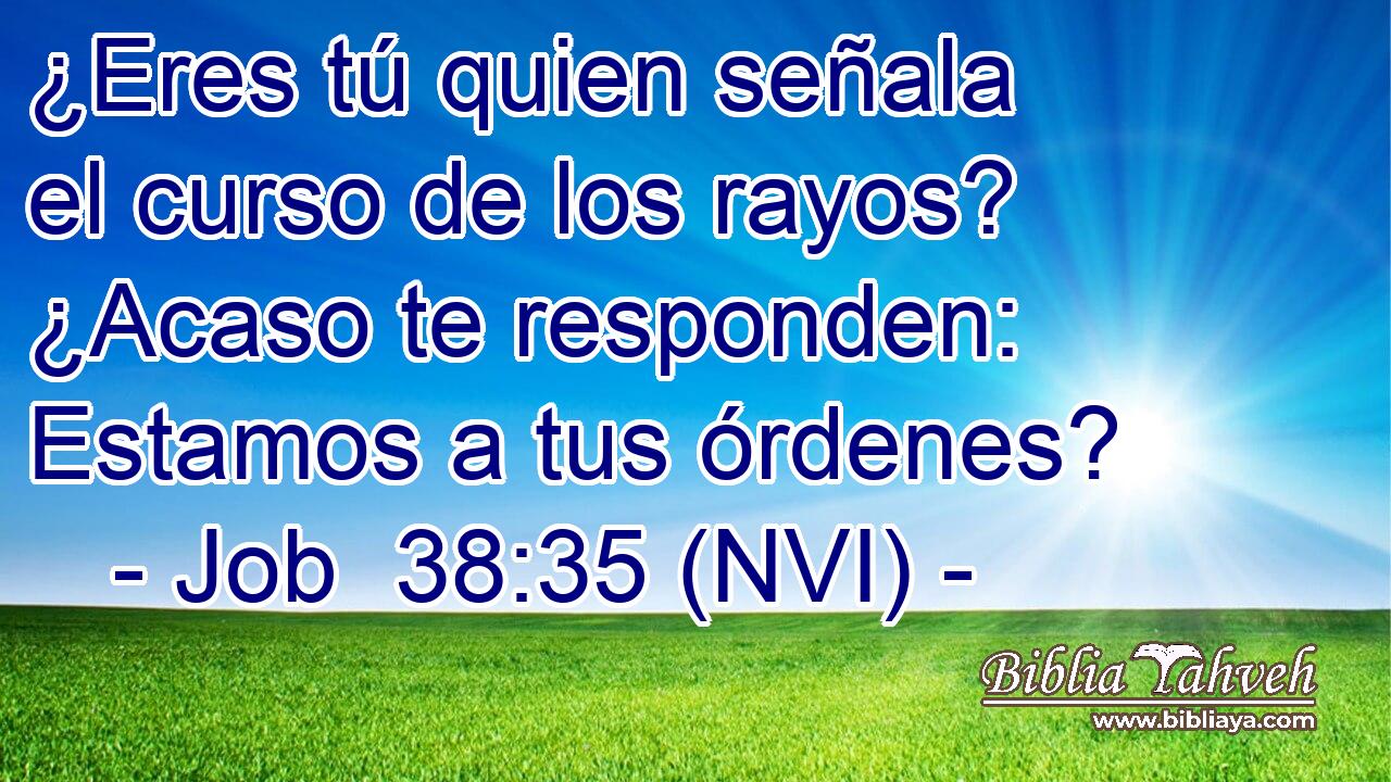  ¿Eres tú quien señala el curso de los rayos? ¿Acaso te responden: Estamos a tus órdenes? 