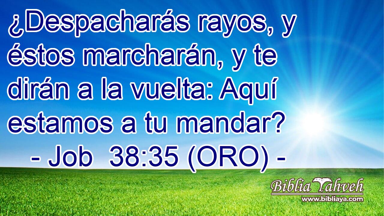  ¿Despacharás rayos, y éstos marcharán, y te dirán a la vuelta: Aquí estamos a tu mandar? 