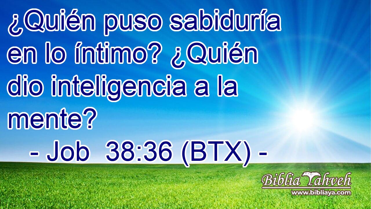 ¿Quién puso sabiduría en lo íntimo? ¿Quién dio inteligencia a la mente?