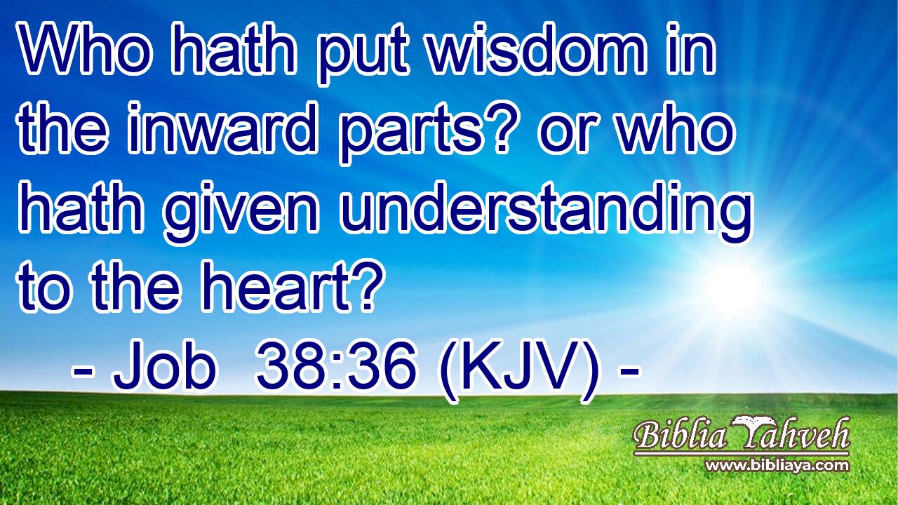 Who hath put wisdom in the inward parts? or who hath given understanding to the heart?