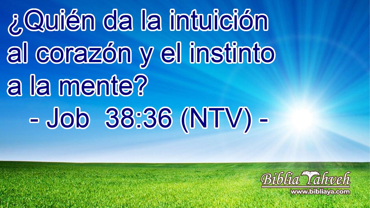 ¿Quién da la intuición al corazón y el instinto a la mente?
