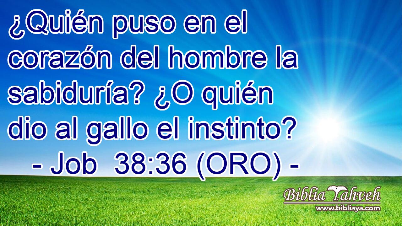  ¿Quién puso en el corazón del hombre la sabiduría? ¿O quién dio al gallo el instinto? 