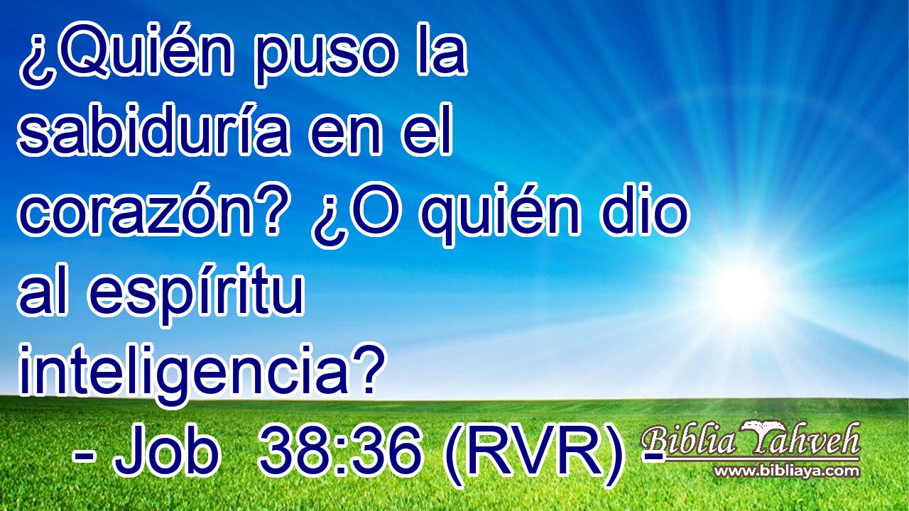 ¿Quién puso la sabiduría en el corazón? ¿O quién dio al espíritu inteligencia?