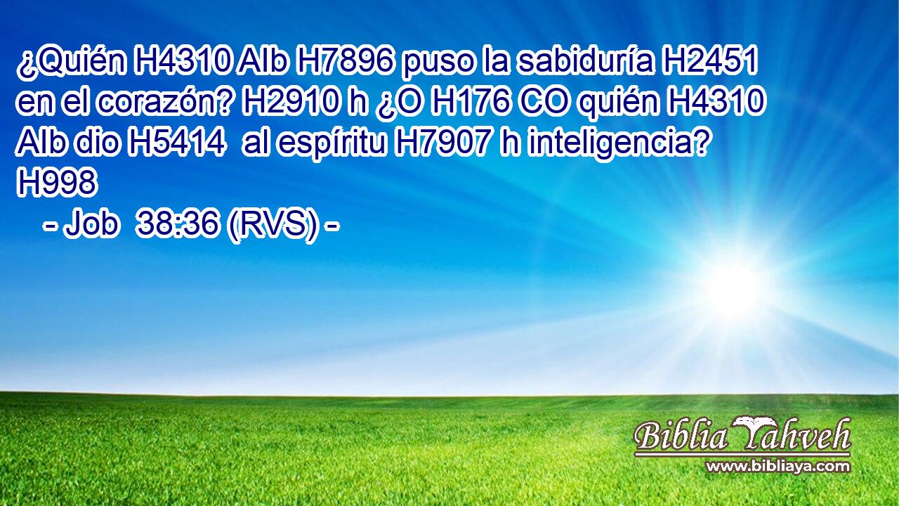 ¿Quién H4310 AIb H7896 puso la sabiduría H2451  en el corazón? H2910 h ¿O H176 CO quién H4310 AIb dio H5414  al espíritu H7907 h inteligencia? H998  