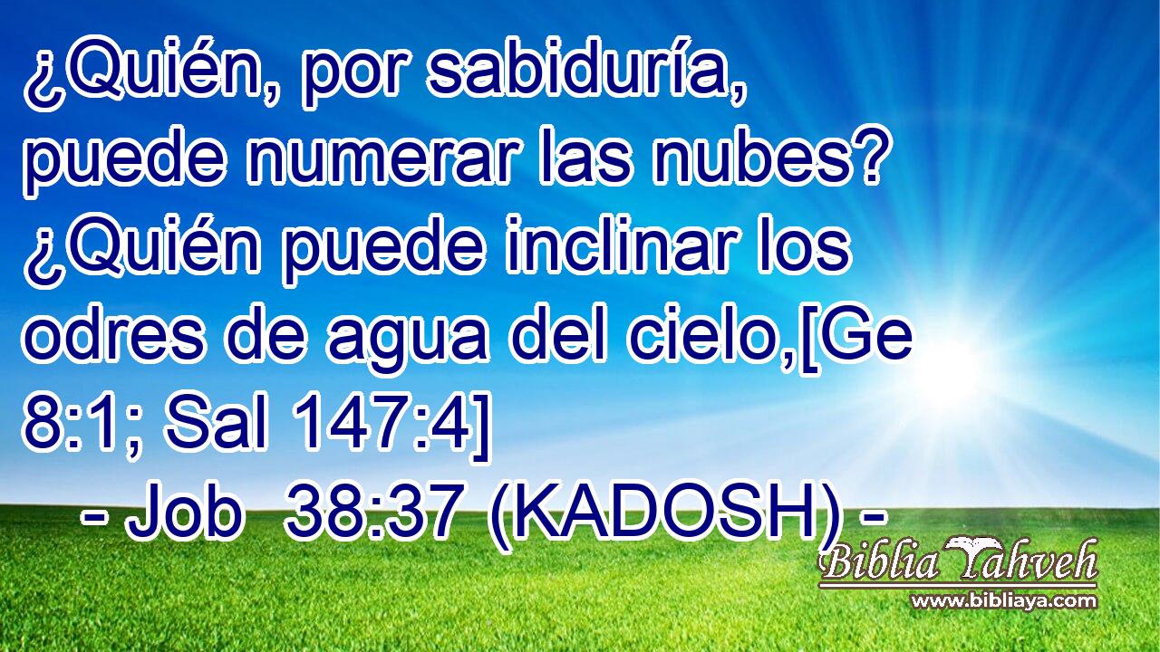  ¿Quién, por sabiduría, puede numerar las nubes? ¿Quién puede inclinar los odres de agua del cielo,[Ge 8:1; Sal 147:4] 