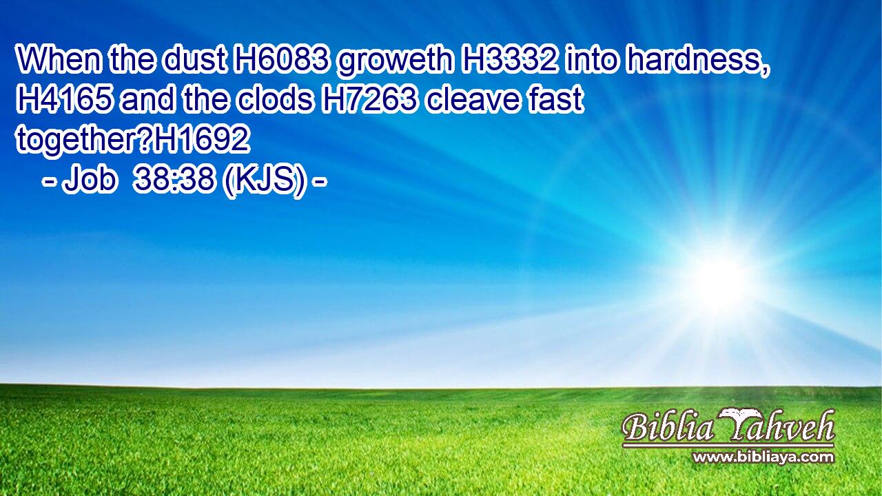 When the dust H6083 groweth H3332 into hardness, H4165 and the clods H7263 cleave fast together?H1692