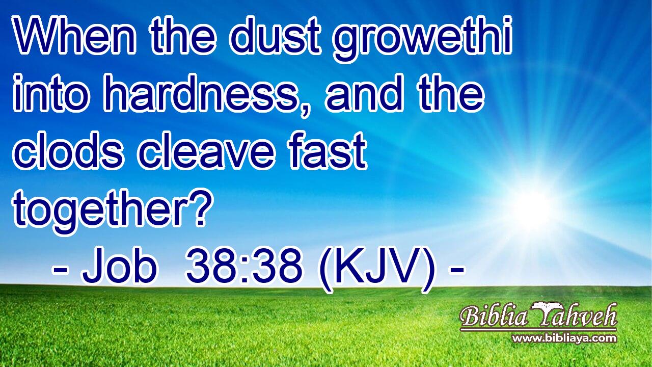 When the dust growethi into hardness, and the clods cleave fast together?