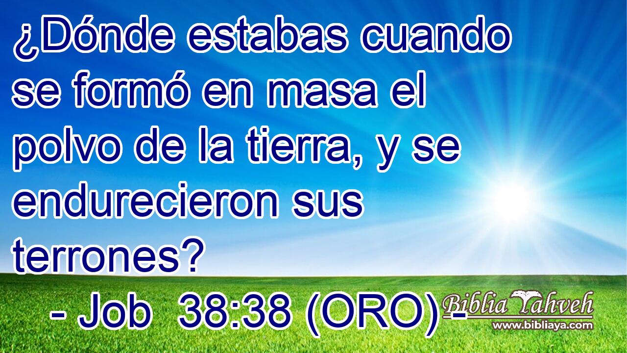  ¿Dónde estabas cuando se formó en masa el polvo de la tierra, y se endurecieron sus terrones? 