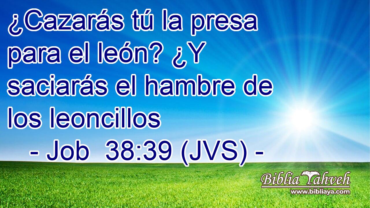 ¿Cazarás tú la presa para el león? ¿Y saciarás el hambre de los leoncillos
