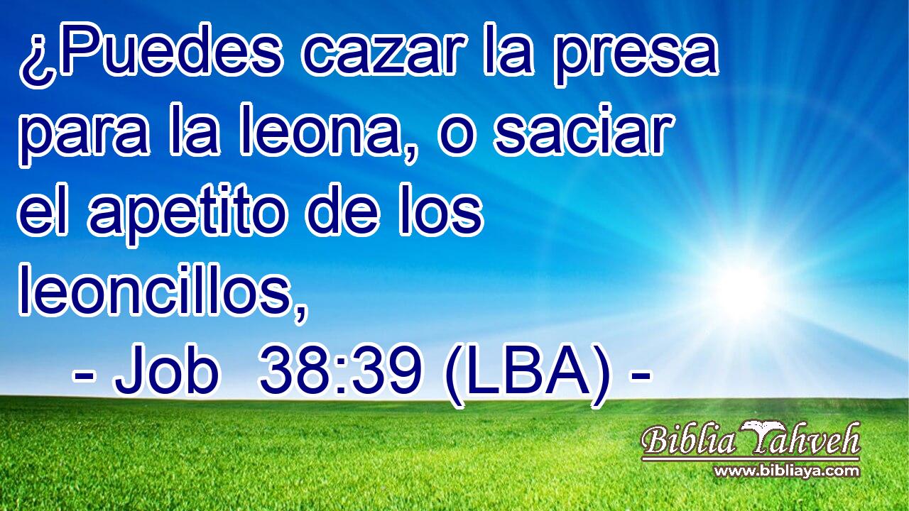 ¿Puedes cazar la presa para la leona, o saciar el apetito de los leoncillos,