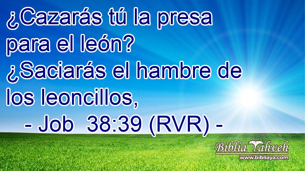 ¿Cazarás tú la presa para el león? ¿Saciarás el hambre de los leoncillos,
