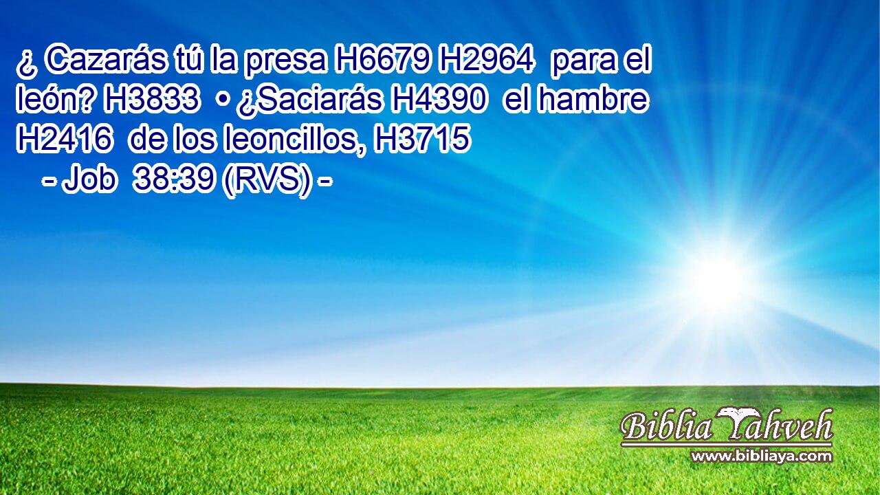 ¿ Cazarás tú la presa H6679 H2964  para el león? H3833  • ¿Saciarás H4390  el hambre H2416  de los leoncillos, H3715  