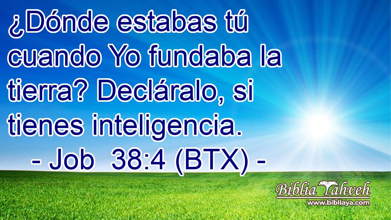 ¿Dónde estabas tú cuando Yo fundaba la tierra? Decláralo, si tienes inteligencia.