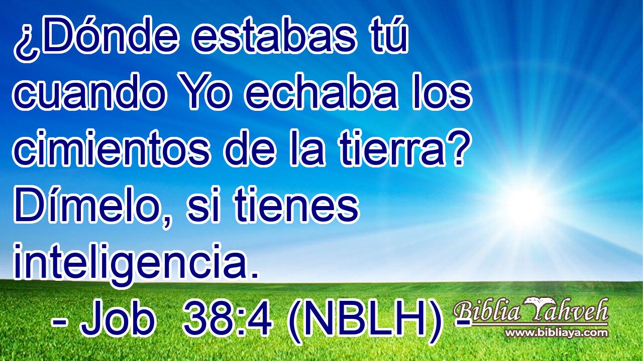  ¿Dónde estabas tú cuando Yo echaba los cimientos de la tierra? Dímelo, si tienes inteligencia. 