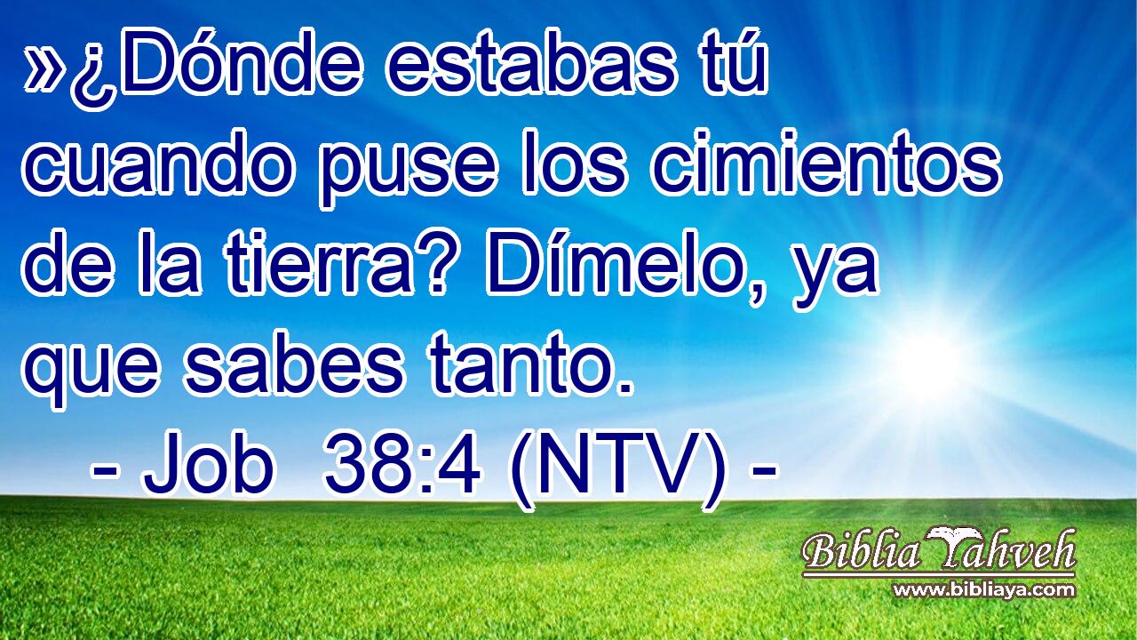 »¿Dónde estabas tú cuando puse los cimientos de la tierra? Dímelo, ya que sabes tanto.